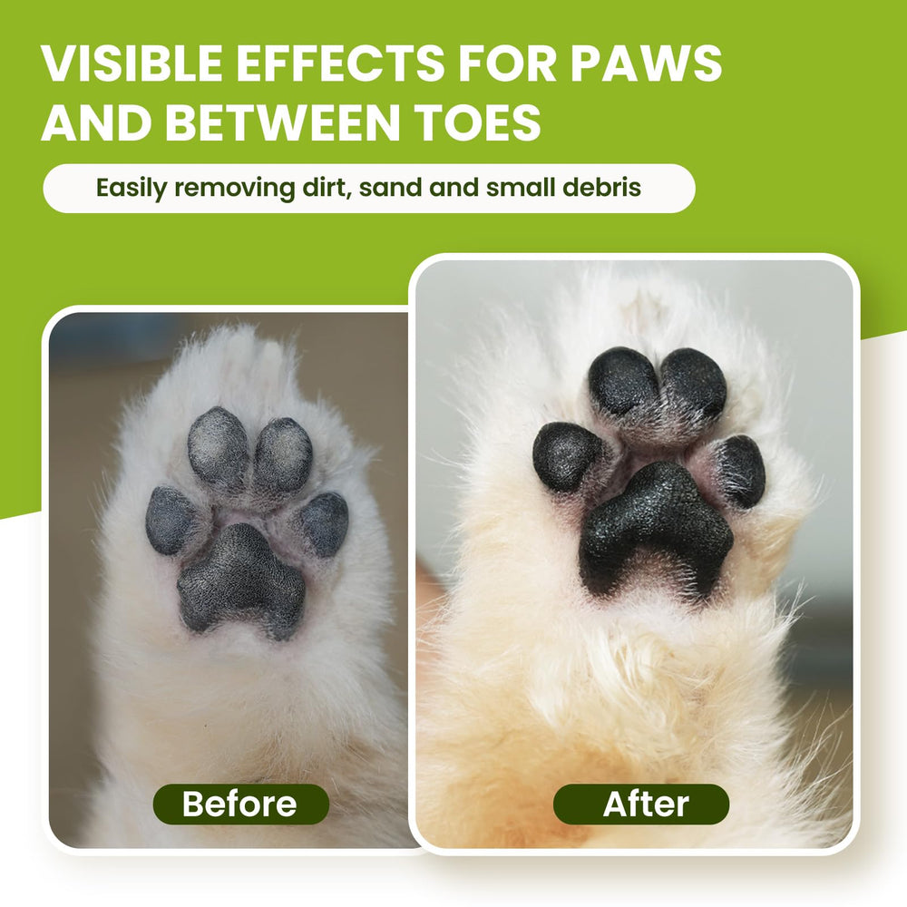 Paw Sono cat paw cleaning closeup highlights paw hygiene between toes.