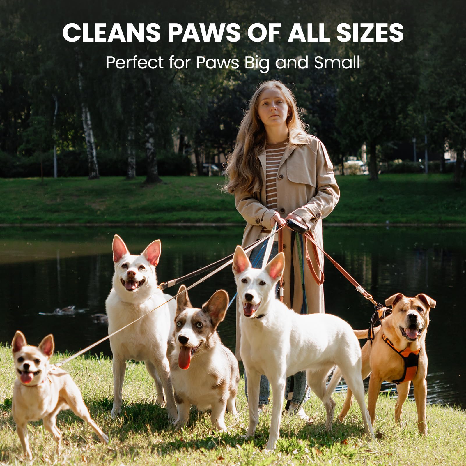 Paw Sono home-cleanup paw wash highlights convenient kitchen or entryway use.