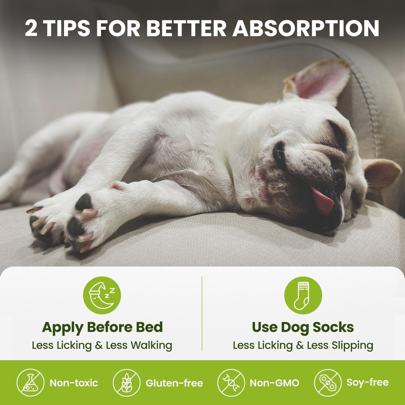 PawSono dog walking use shows protection during hikes and outdoor adventures