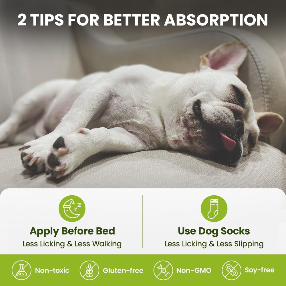 PawSono dog walking use shows protection during hikes and outdoor adventures
