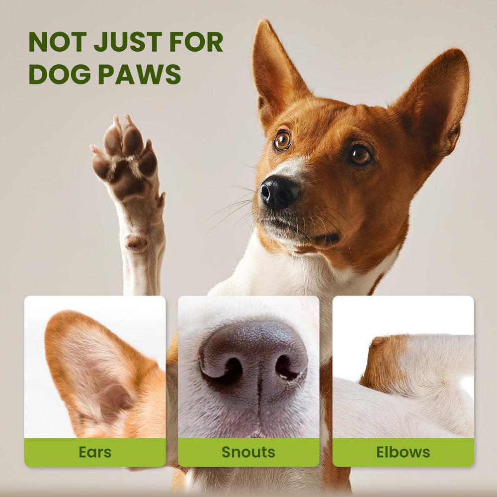 PawSono paw balm forms a protective barrier on rough surfaces