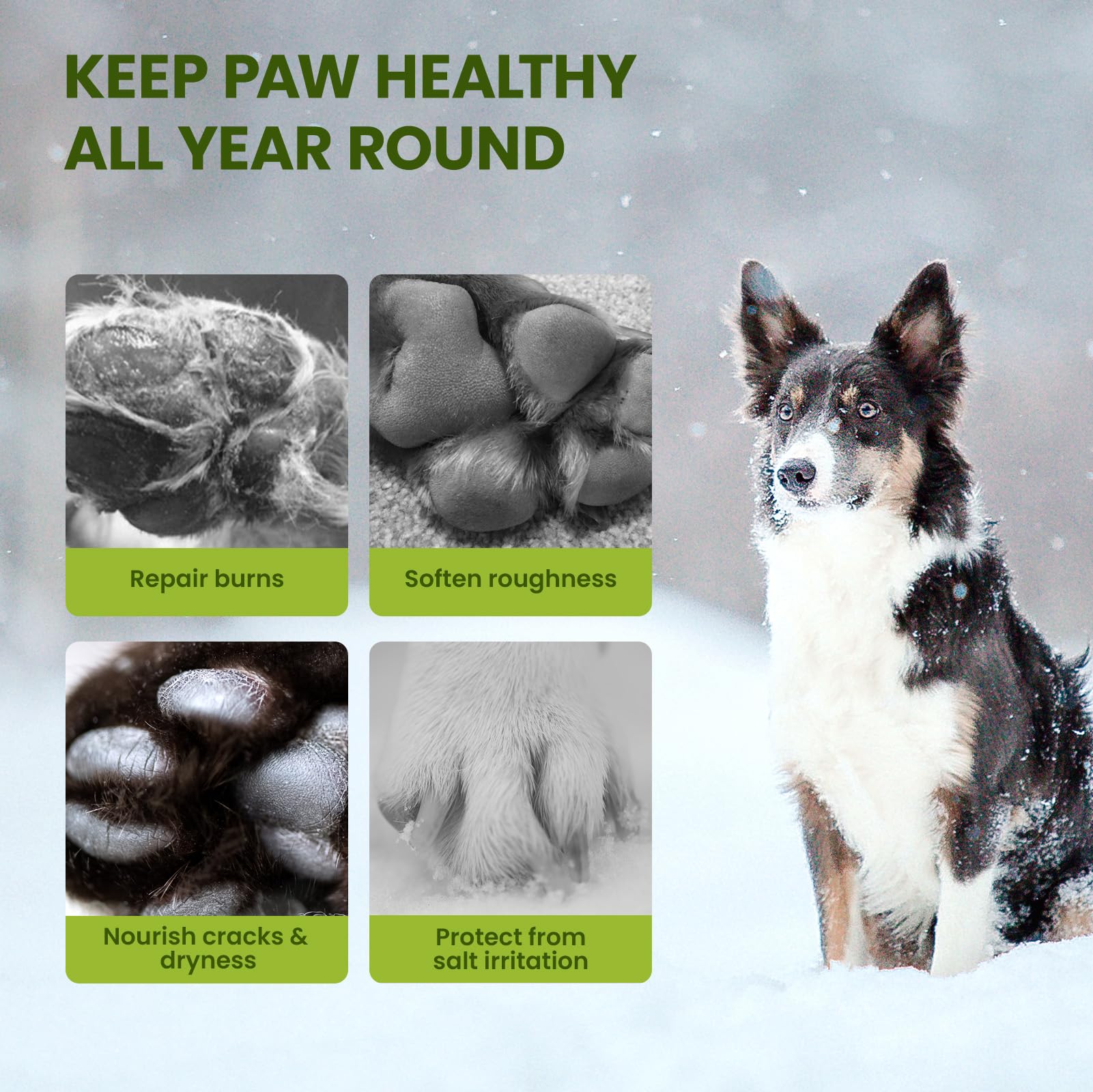 PawSono paw balm protects paws in winter against snow and ice
