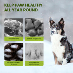 PawSono paw balm protects paws in winter against snow and ice
