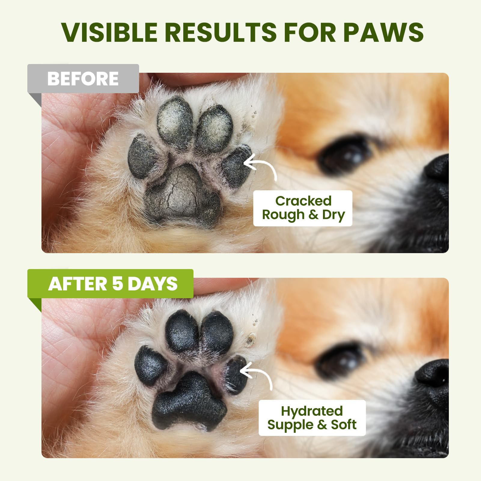 PawSono winter paw care scene with snow illustrating year-round protection