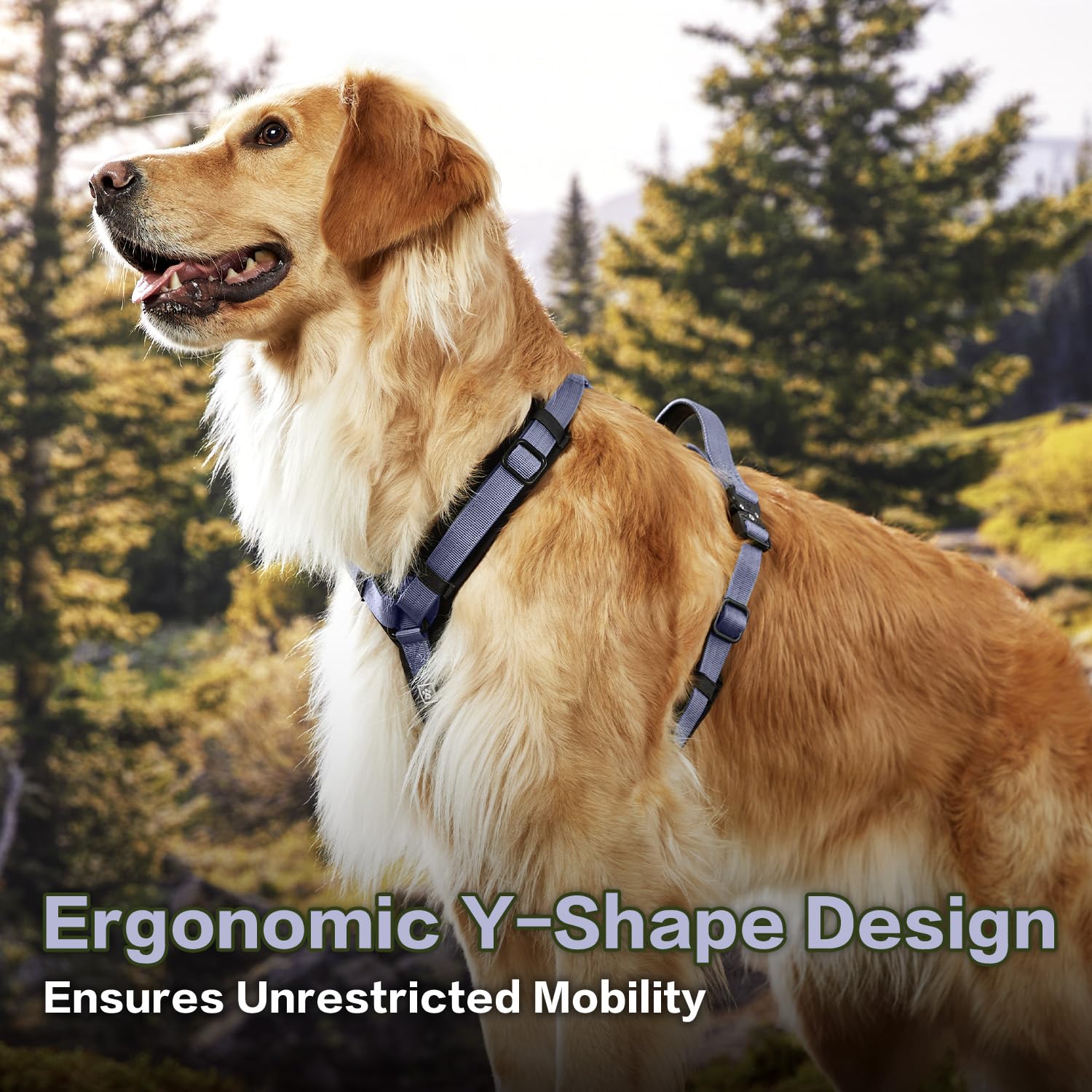 PAWS PASSION pawspassion-dog-harness-lilac-breeze-back-handle-metal-hardware highlights secure control during training.