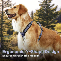 PAWS PASSION pawspassion-dog-harness-lilac-breeze-back-handle-metal-hardware highlights secure control during training.