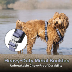 PAWS PASSION pawspassion-dog-harness-lilac-breeze-neoprene-padding-closeup emphasizes soft padding to reduce rubbing.