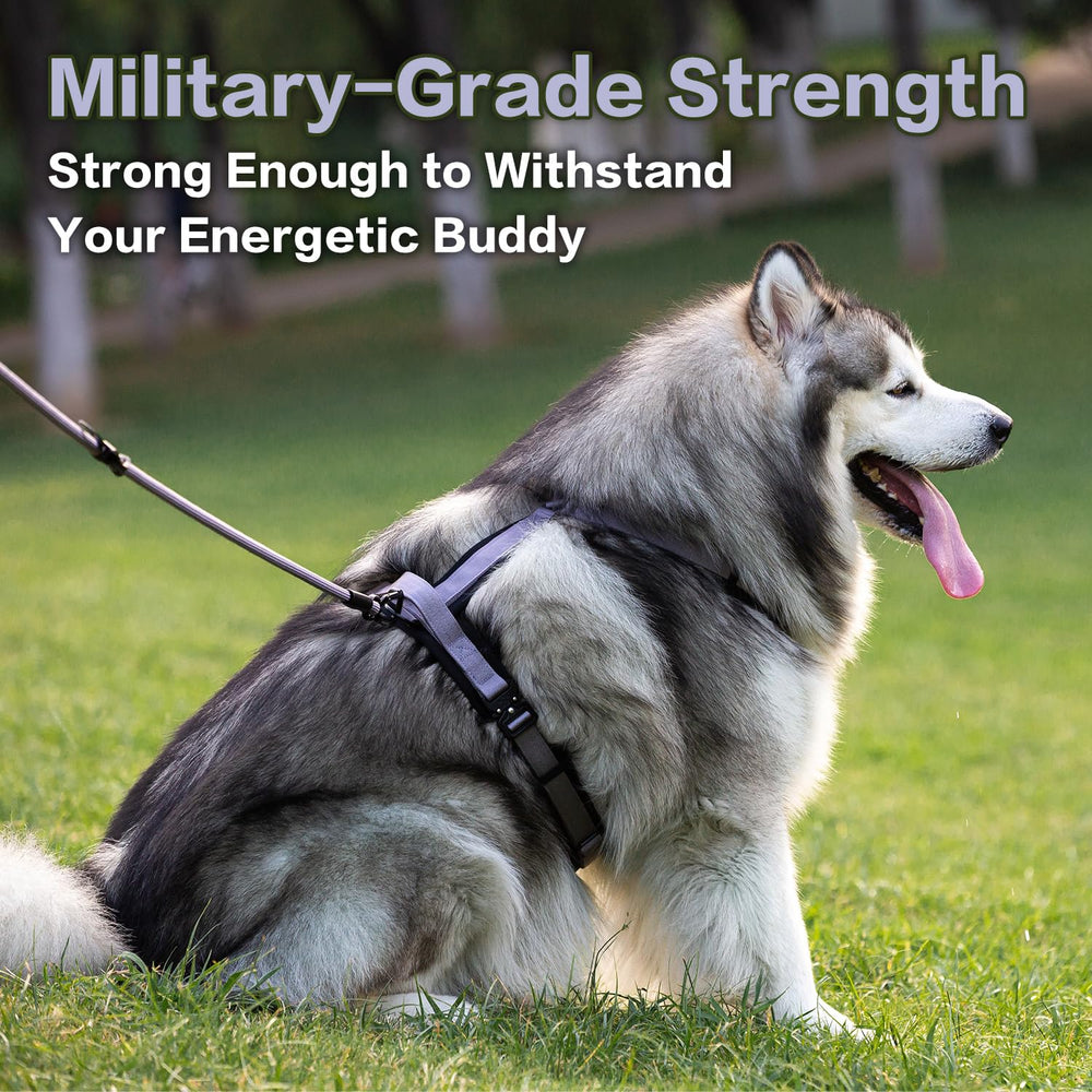 PAWS PASSION pawspassion-dog-harness-lilac-breeze-side-worn shows comfortable fitting on a medium dog.