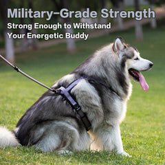 PAWS PASSION pawspassion-dog-harness-lilac-breeze-side-worn shows comfortable fitting on a medium dog.