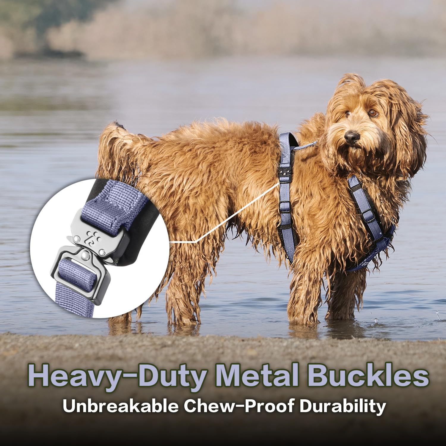 PAWS PASSION XL quick-release COBRA buckles simplify on-off for energetic dogs.