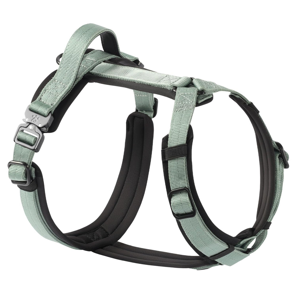 PAWS PASSION PawsPassion Seabreeze XL front view shows secure fit for energetic large dogs.