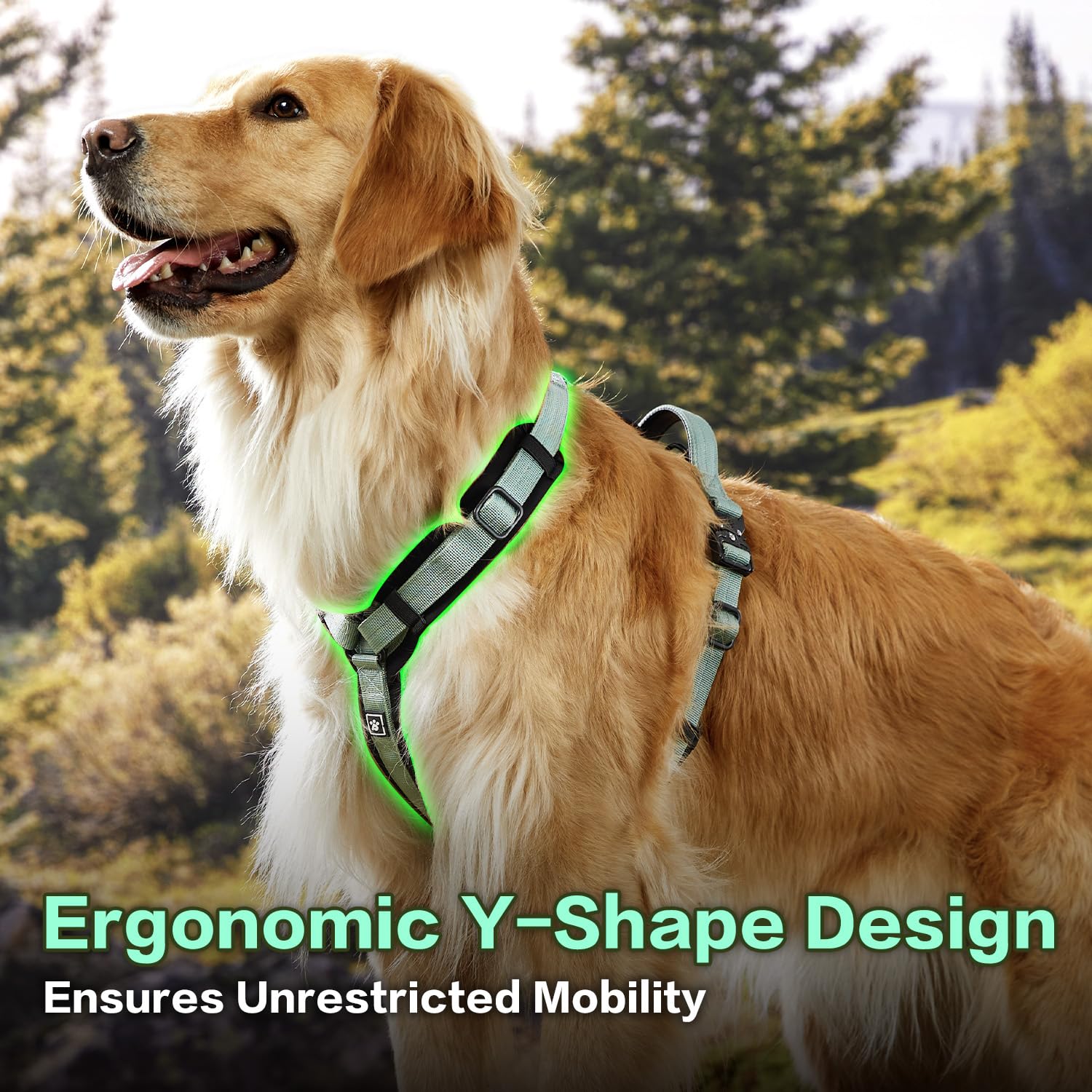 PAWS PASSION PawsPassion Seabreeze XL metal hardware demonstrates durability against chewers.