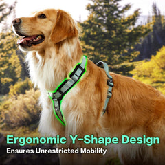 PAWS PASSION PawsPassion Seabreeze XL metal hardware demonstrates durability against chewers.