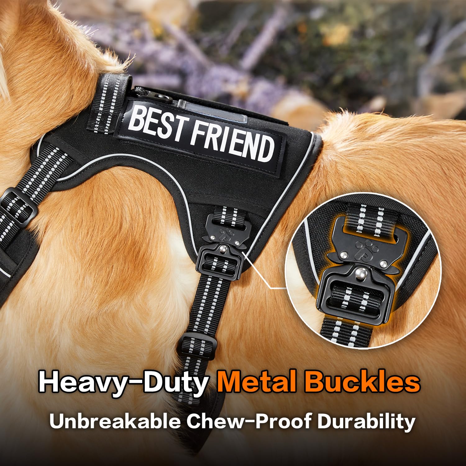 PAWS PASSION heavy-duty dog harness with metal buckles ensures lasting durability for rugged outdoor adventures.
