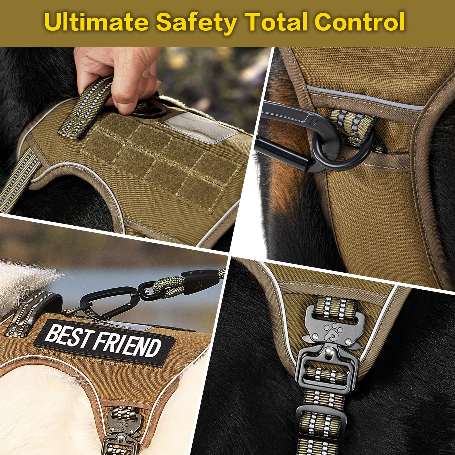 PAWS PASSION heavy-duty nylon oxford harness stands up to rugged adventures