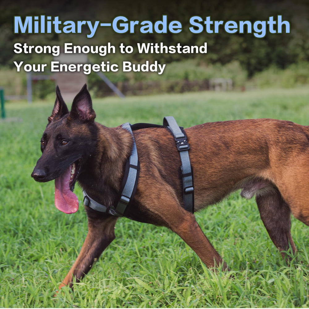 PAWS PASSION Horizon dog harness featuring all-metal hardware for chew-resistant reliability.