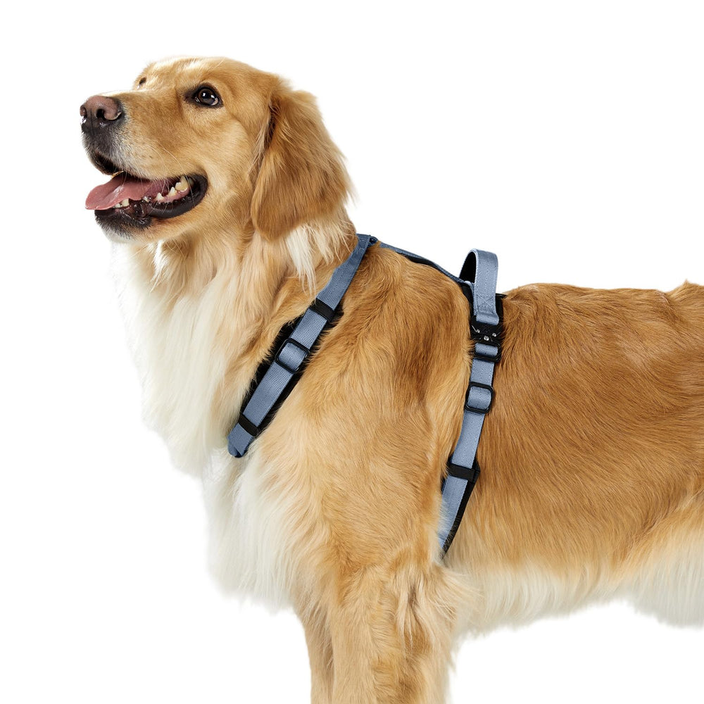 PAWS PASSION Horizon dog harness back handle for quick control in busy areas.