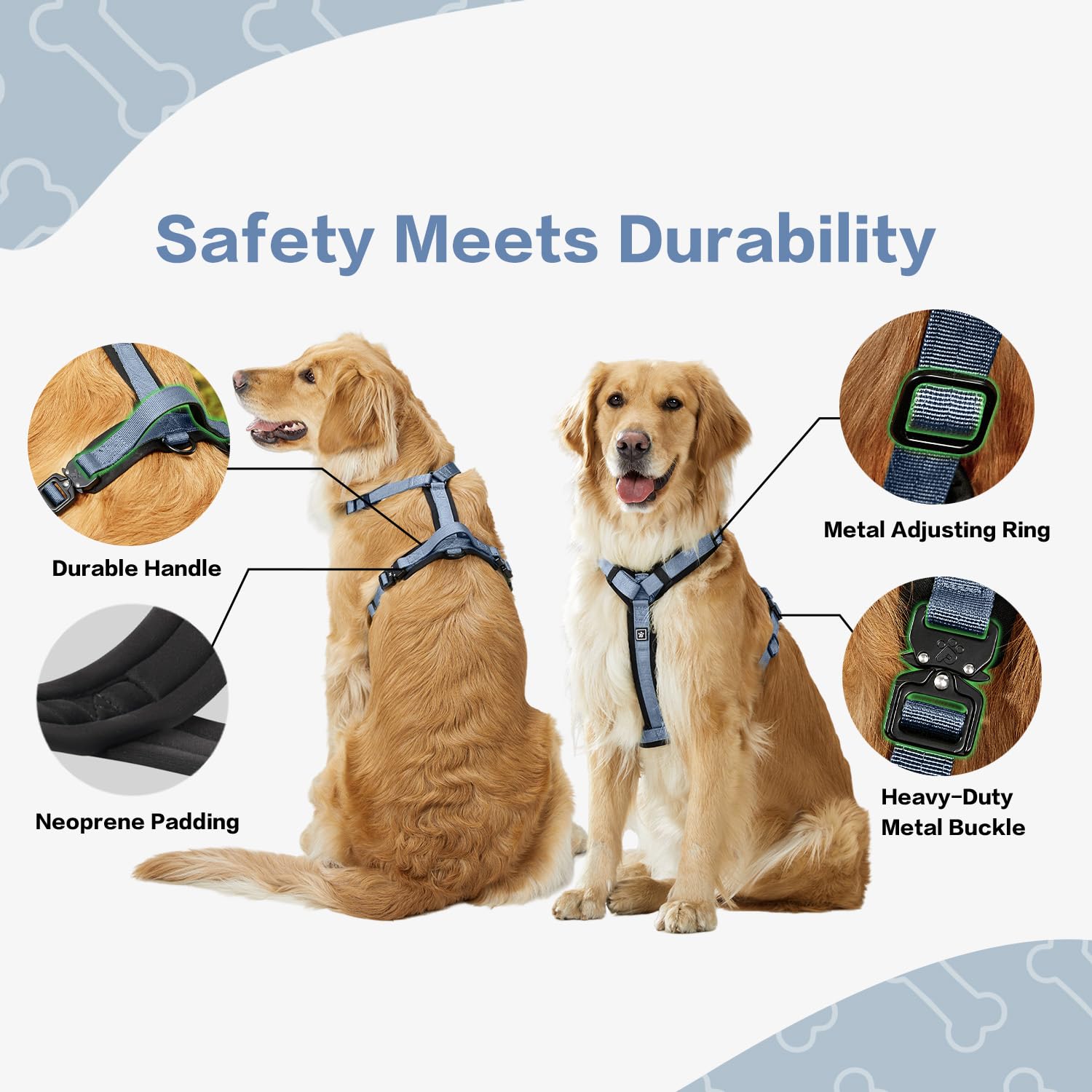 PAWS PASSION Horizon dog harness with neoprene padding for comfortable walks.