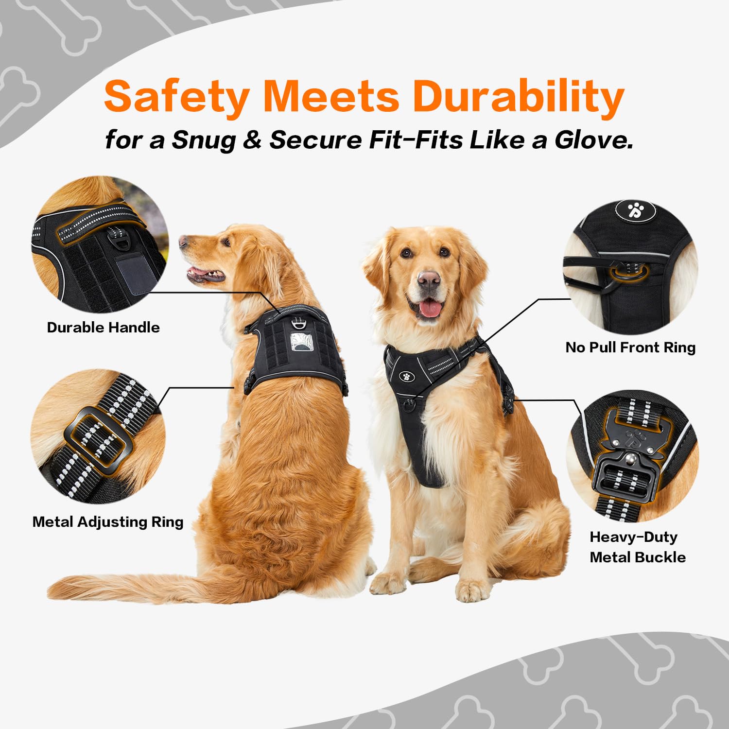 PAWS PASSION ID-tag loop keeps owner contact info easily accessible during outings.