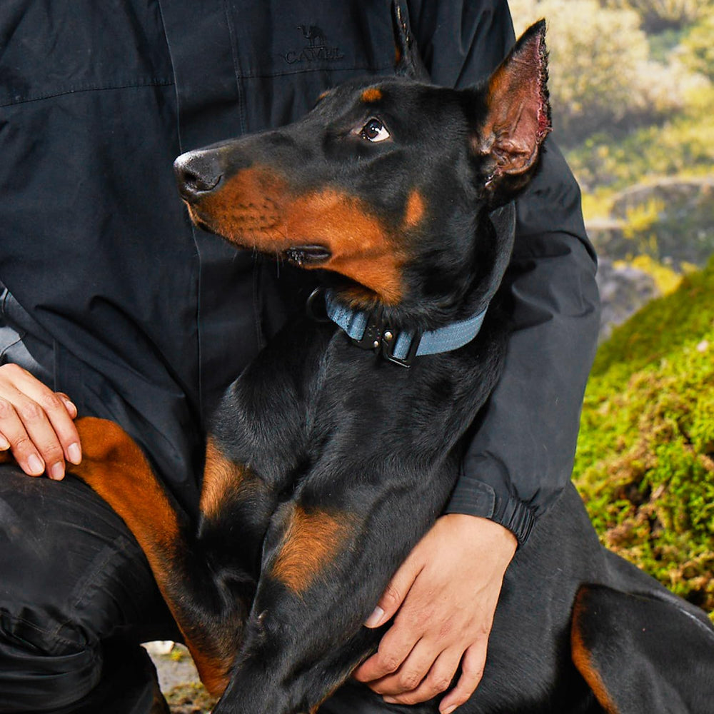 PAWS PASSION Nightfall 1000D nylon durability shown during outdoor adventures.