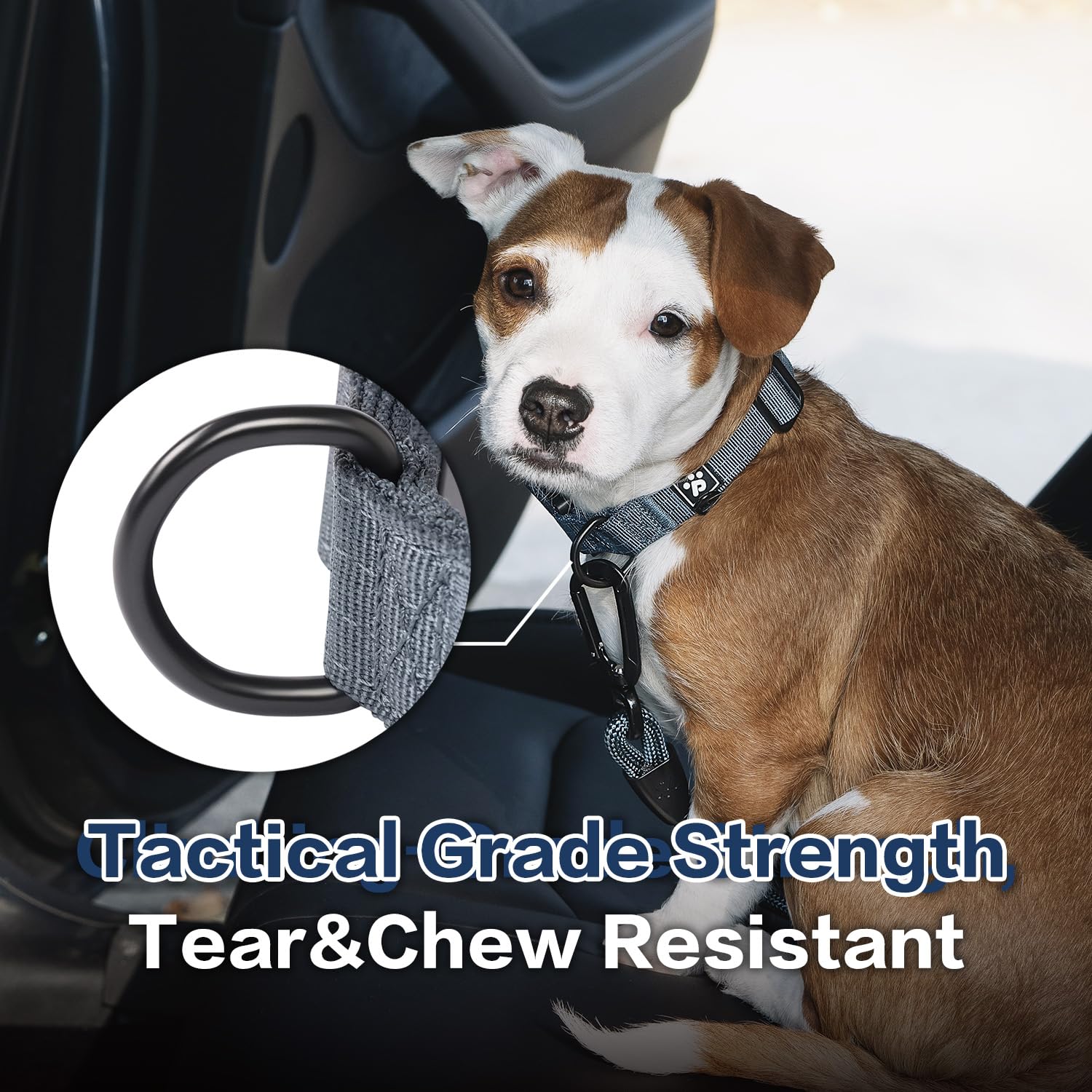 PAWS PASSION Nightfall COBRA quick-release buckle enables fast secure collaring.