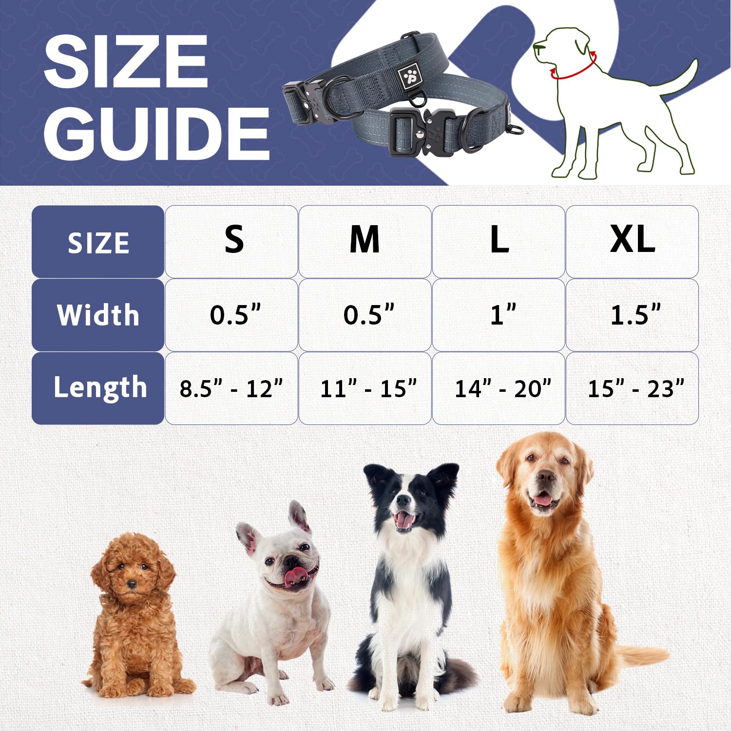 PAWS PASSION Nightfall extra D-ring for tags or AirTag attachment.