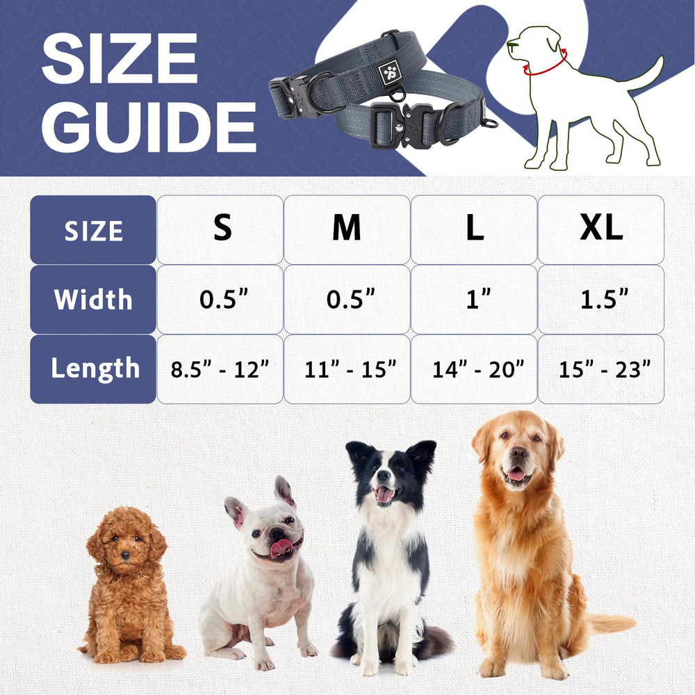PAWS PASSION Nightfall extra D-ring for tags or AirTag attachment.