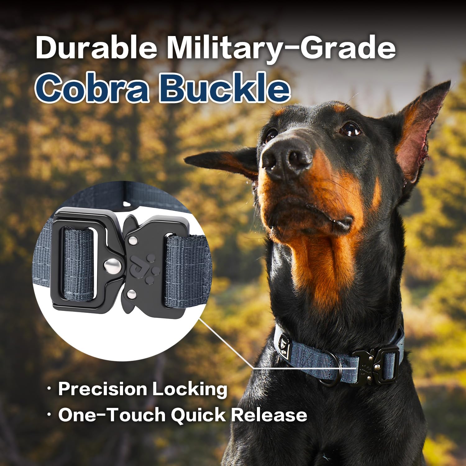 PAWS PASSION Nightfall reinforced nylon strap close-up highlighting durability for chewers.