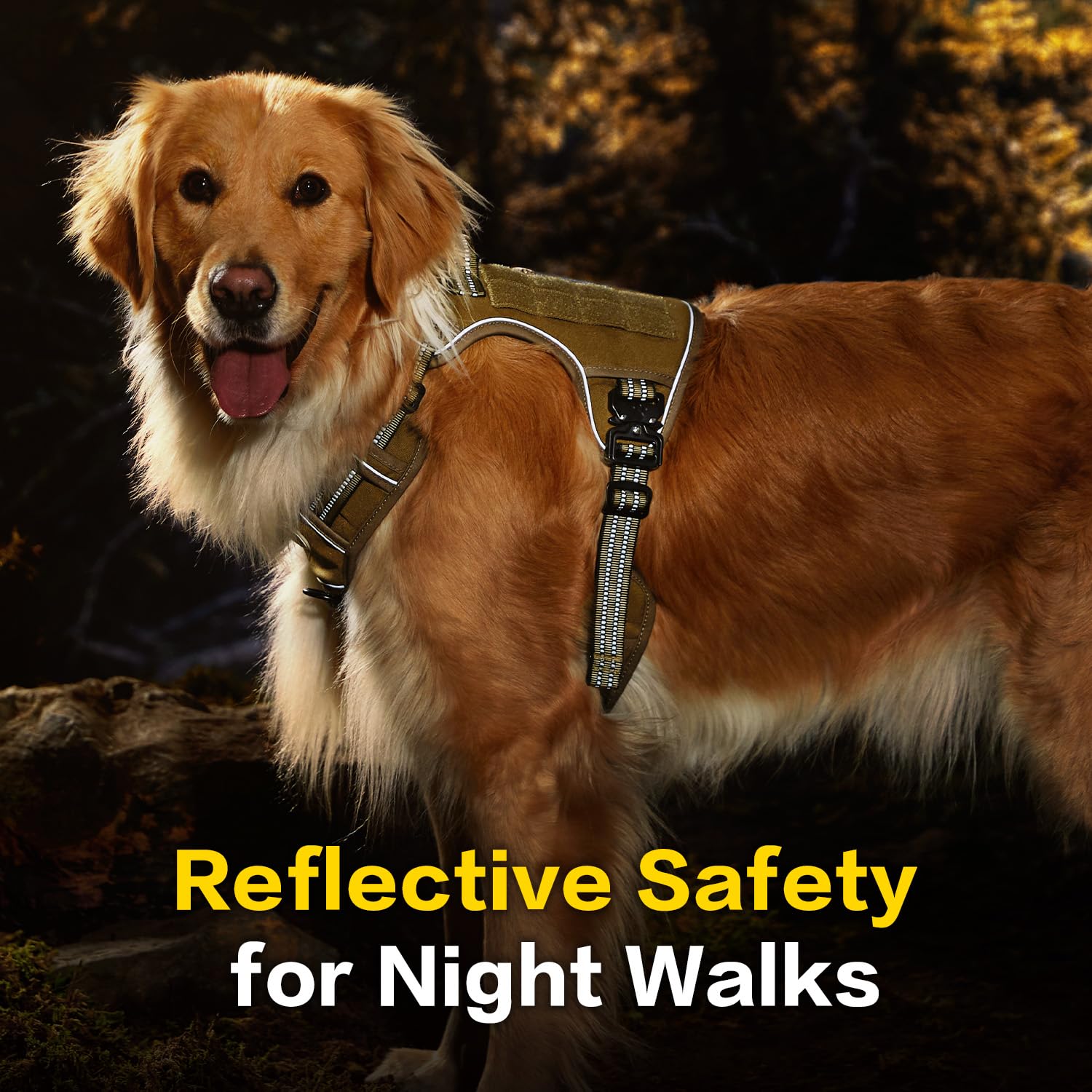 PAWS PASSION easy control handle ring for quick guidance during walks
