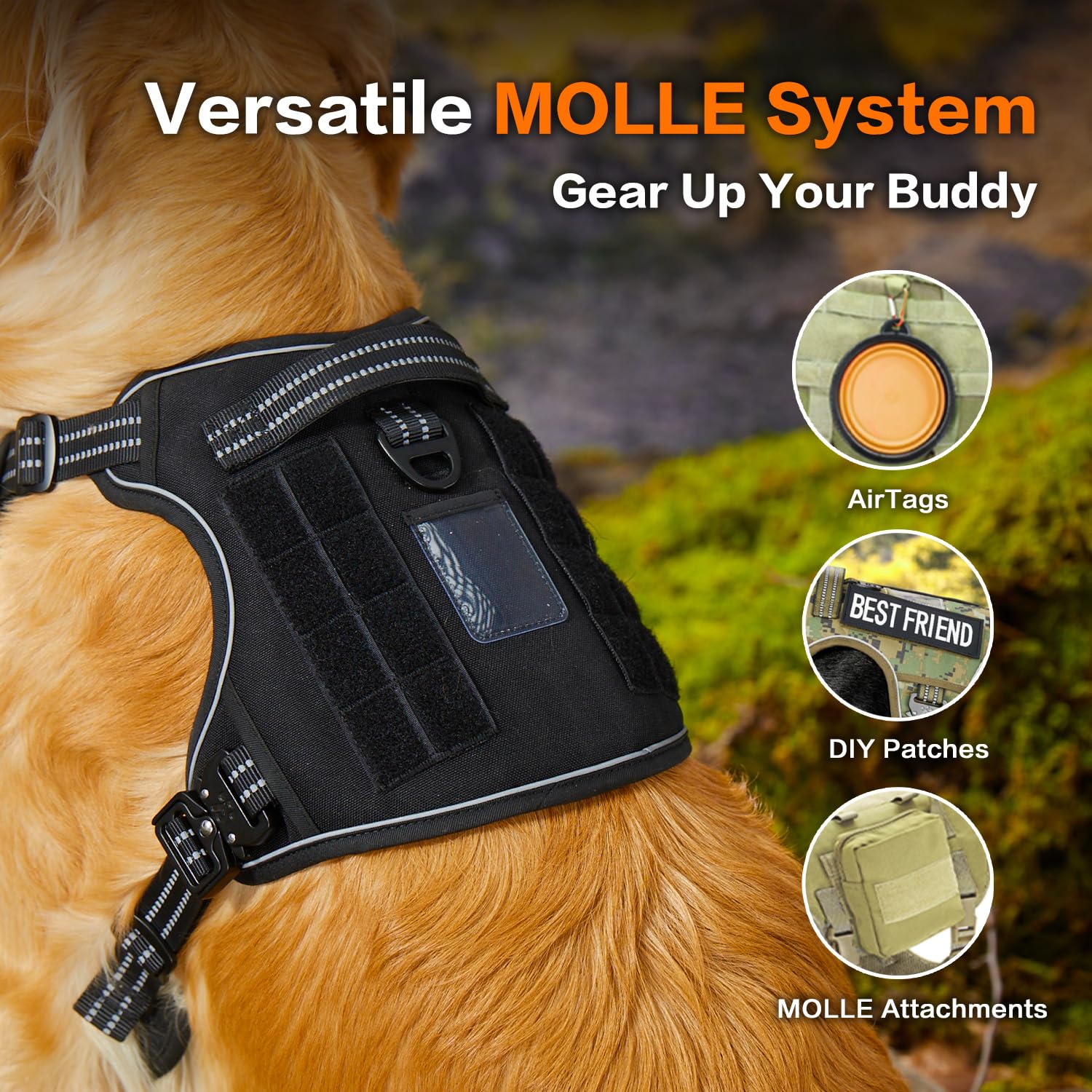 PAWS PASSION padded mesh and breathable lining keep your dog comfy on long adventures.