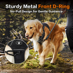 PAWS PASSION Reflective strip harness enhances visibility during night walks for safer outings.