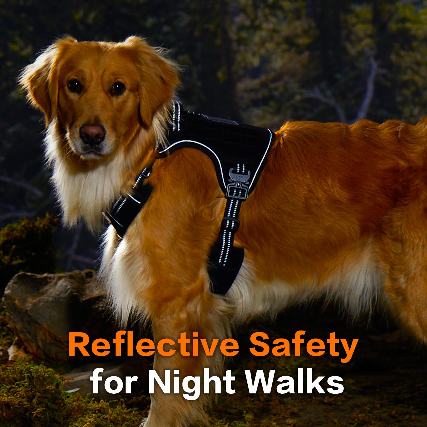 PAWS PASSION reinforced nylon-oxford and sturdy stitching withstand tough conditions.