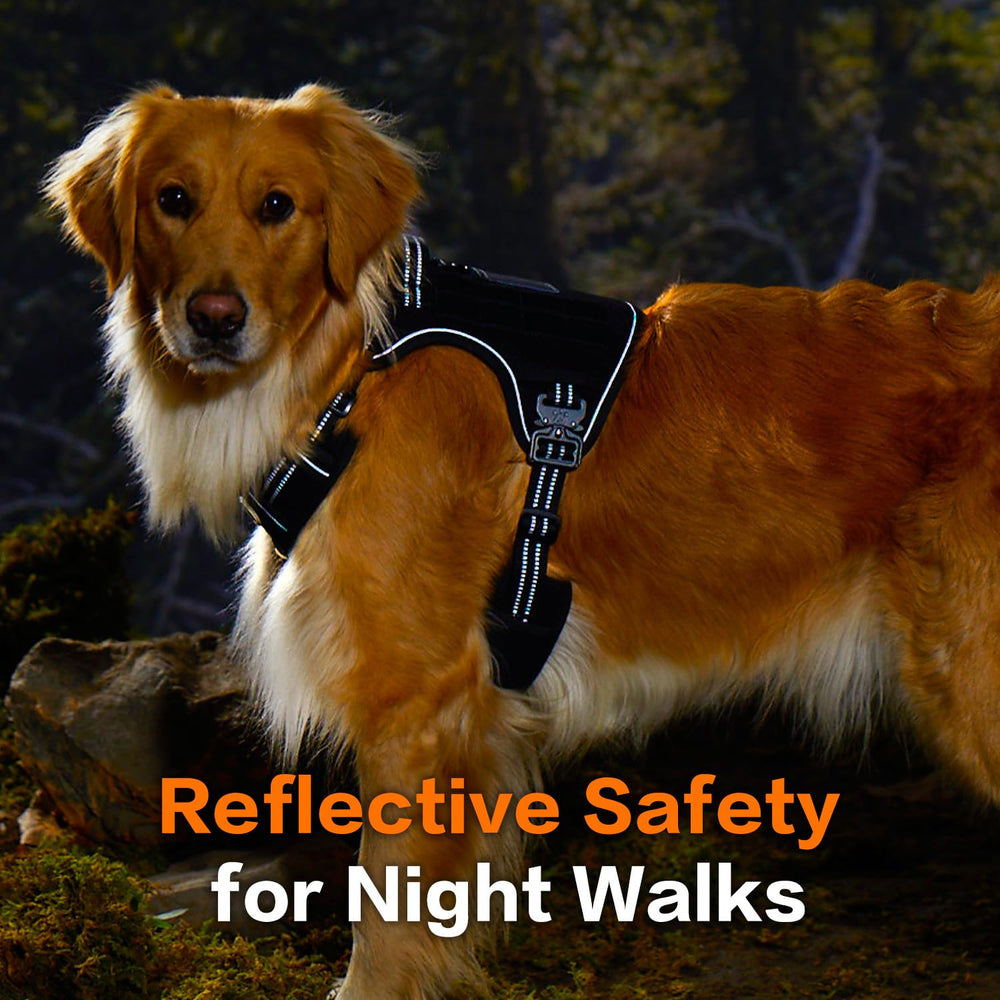 PAWS PASSION reinforced nylon-oxford and sturdy stitching withstand tough conditions.