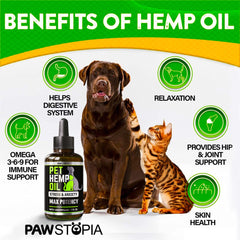 Pawstopia hemp oil for dogs and cats shows relaxed pets during stressful moments.