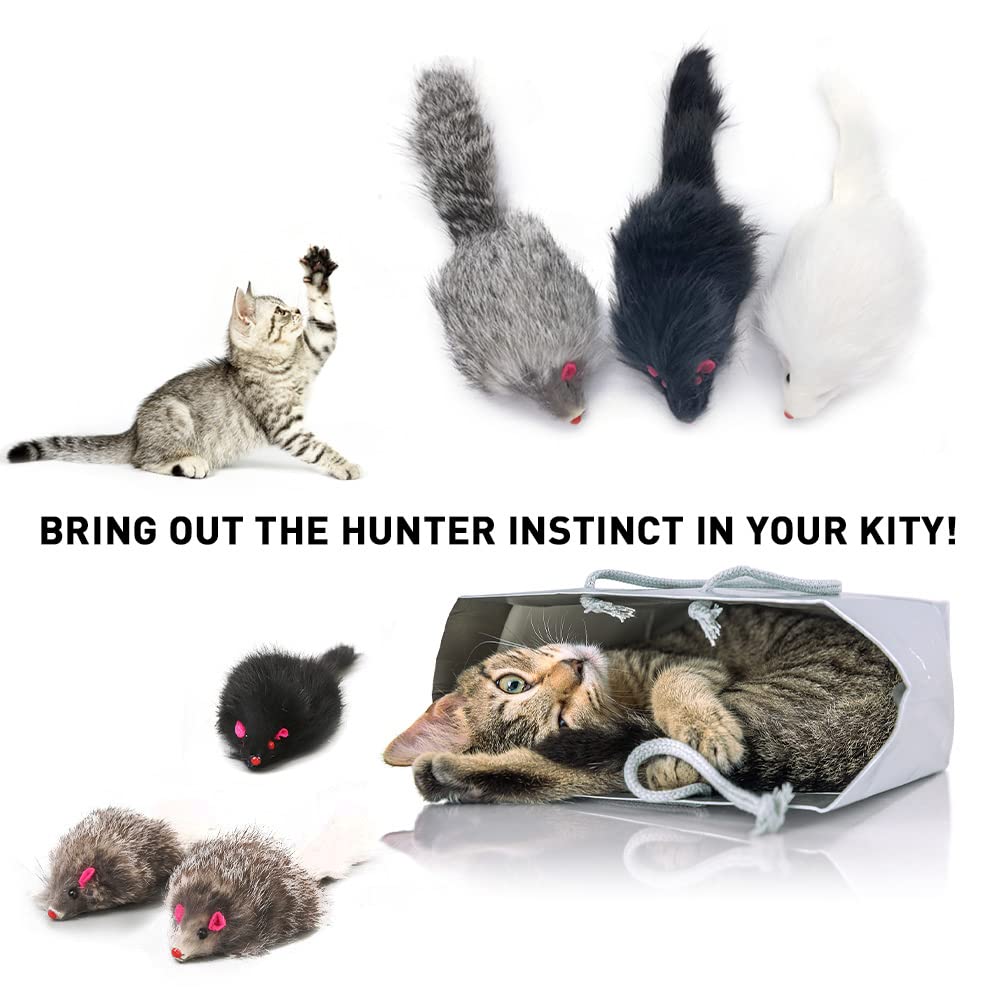 Pawstrip bonding cat toys highlights parent-cat interaction and stronger bonds during play.