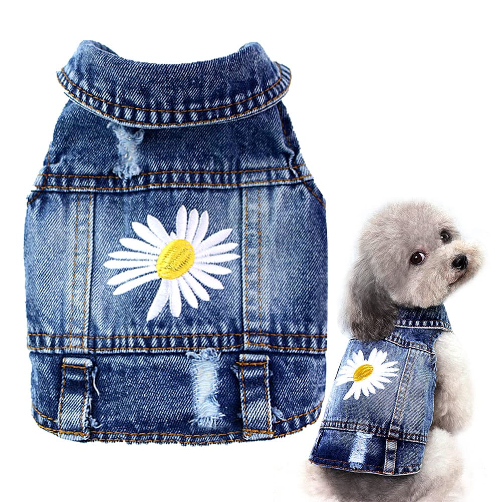 Pawstrip dog denim jacket with daisy embroidery for stylish spring outfits and photo-ready moments.