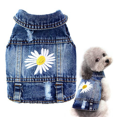 Pawstrip dog denim jacket with daisy embroidery for stylish spring outfits and photo-ready moments.