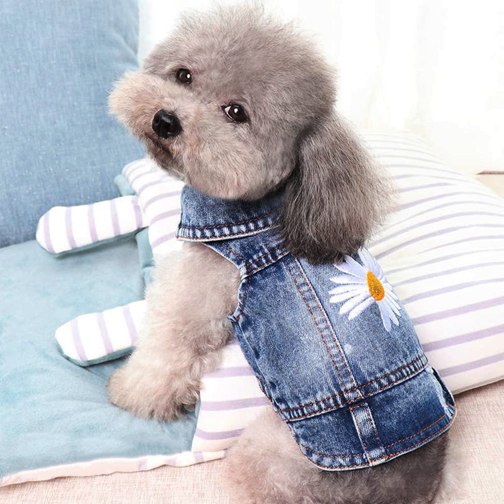 Pawstrip dog-denim jacket makes a thoughtful gift that suits festive occasions.