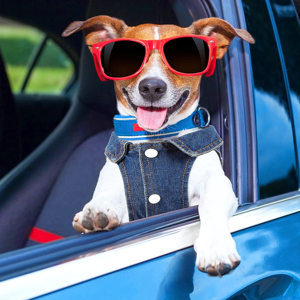 Pawstrip easy-clean dog jacket is machine-wash friendly for busy households.