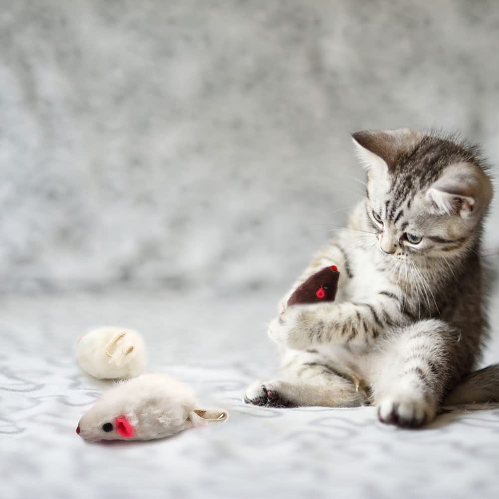 pawstrip kitty playtime mouse toy on floor for indoor exploration