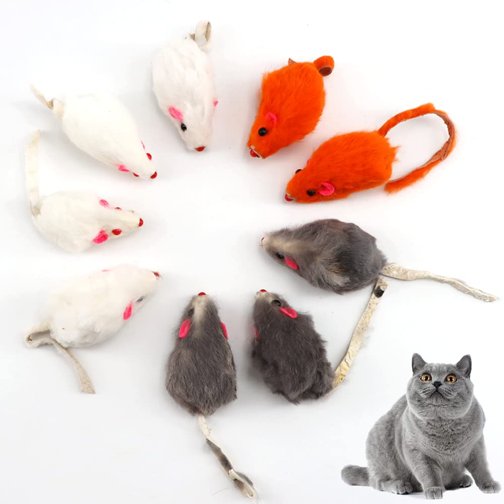 pawstrip outdoor-friendly mouse toy sample ready for quick outdoor fun
