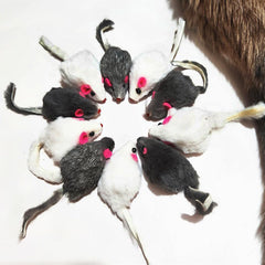 pawstrip realistic mice cat toy detail presents lifelike silhouette for hunting instincts
