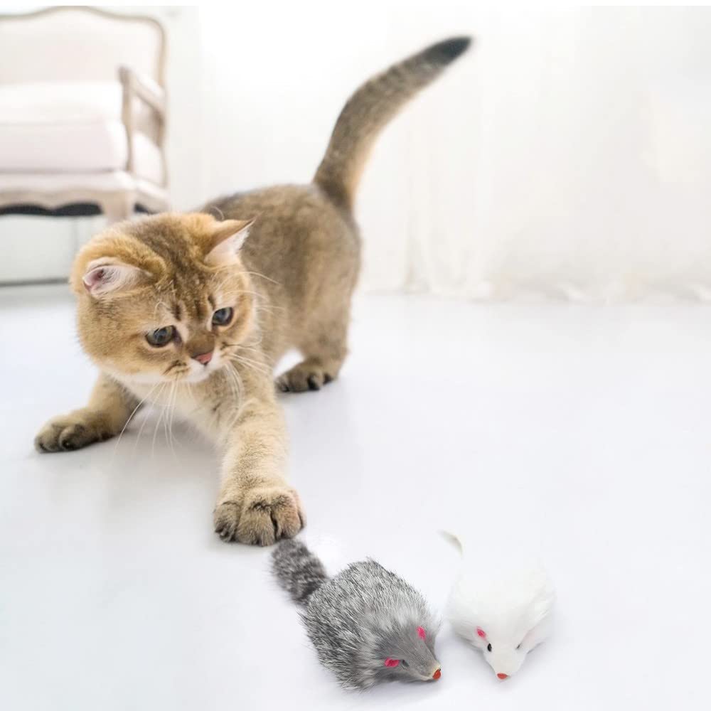 Pawstrip safe material cat mice emphasizes gentle design for kitten mouths.