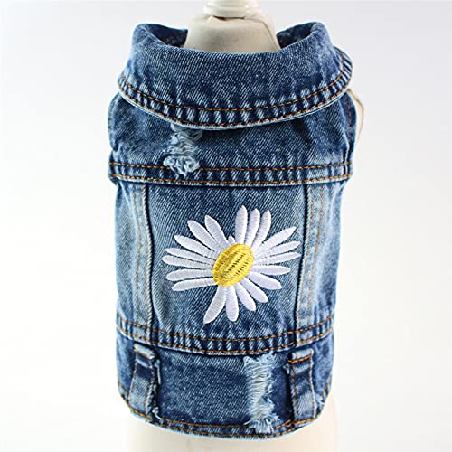 Pawstrip seasonal denim outfit suits spring, summer, and autumn adventures.