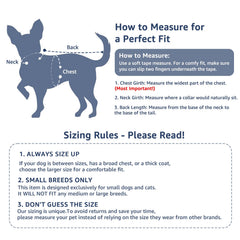Pawstrip small-dog jacket with lapel collar for easy wear and cute everyday style.