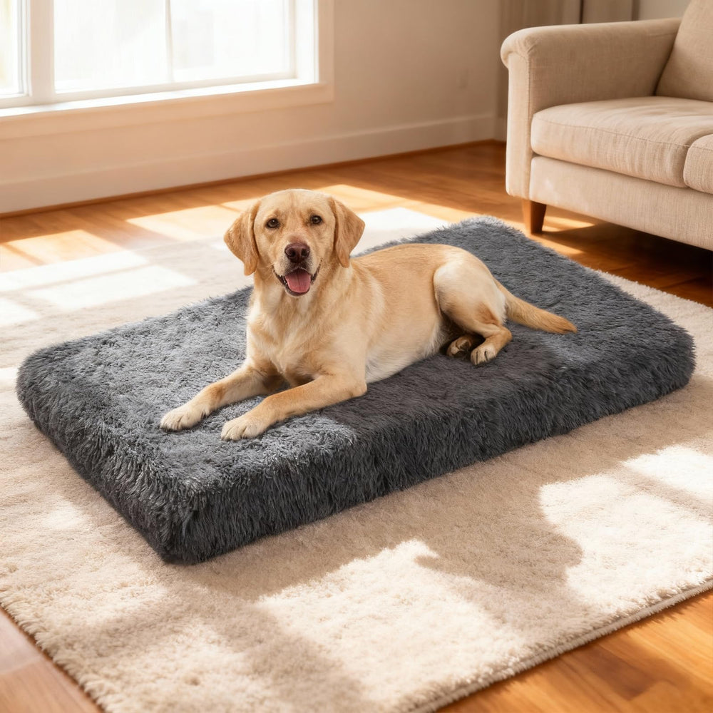 Pawstrip XL memory foam base cushions hips and joints for big breeds