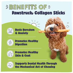 Pawstruck beef collagen stick dog chew highlighting high-protein treat.
