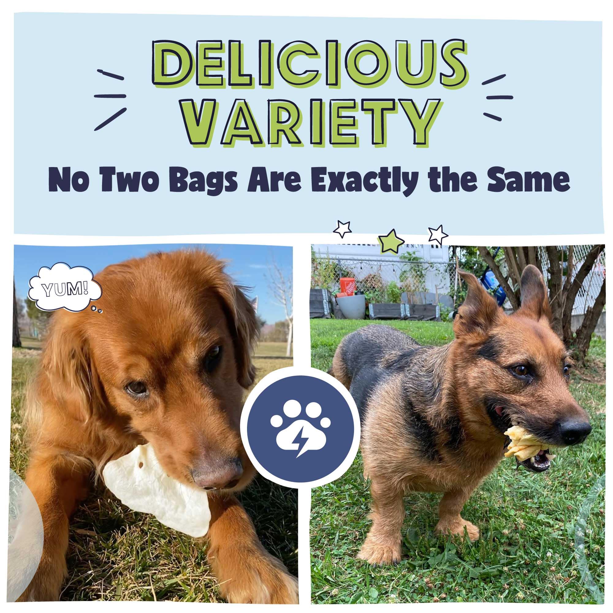 Pawstruck Bizarro Bolsa de Ofertas Extrañas: cascos de vaca para perros activos