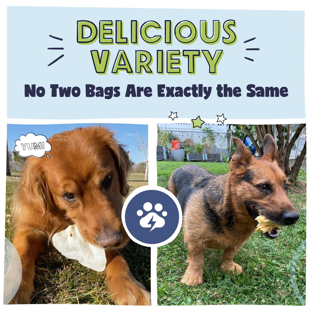 Pawstruck Bizarro Bolsa de Ofertas Extrañas: cascos de vaca para perros activos