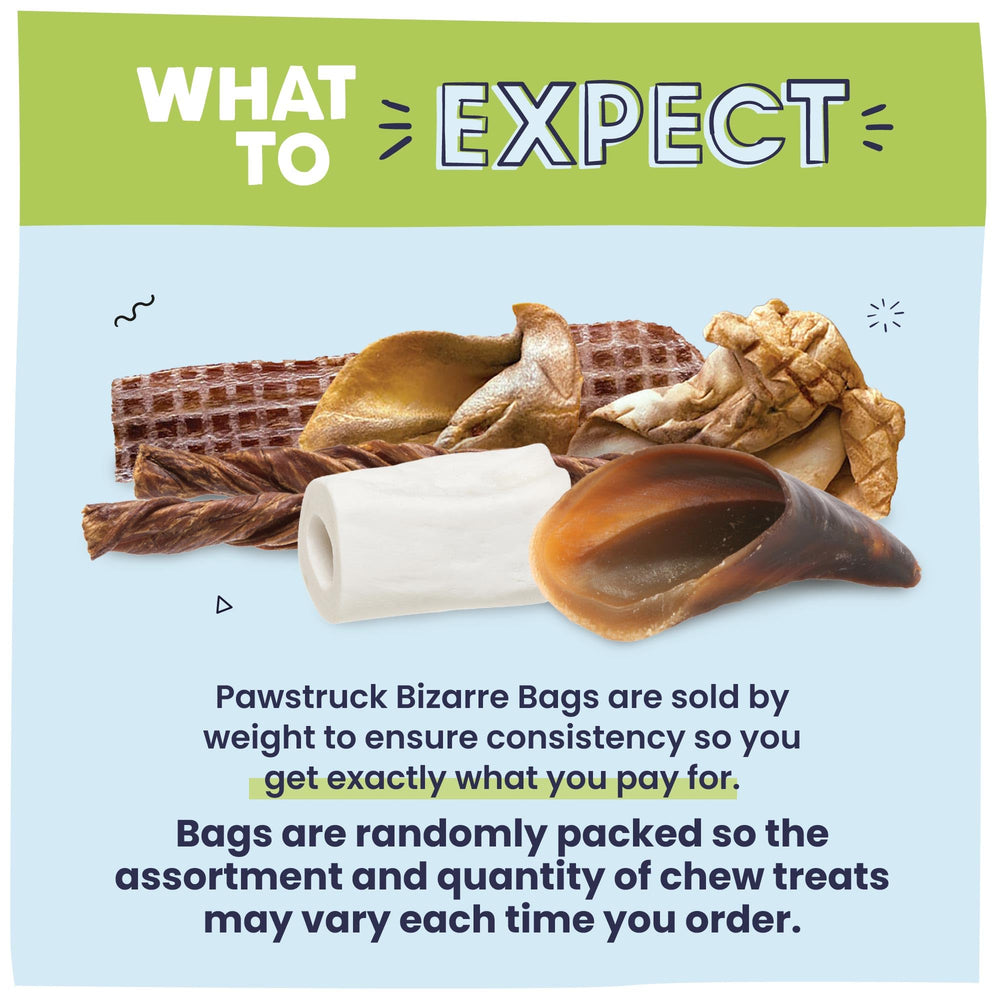 Pawstruck Bizarro Bolsa de Ofertas Extrañas: variedad en empaque para nuevas experiencias